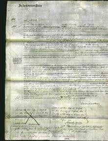 Court of Common Pleas - Mary Johnson-Original Ancestry