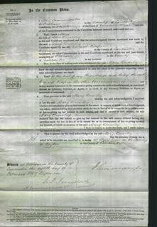 Court of Common Pleas - Mary Brearley-Original Ancestry