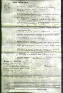 Court of Common Pleas - Sarah Ann Noyes-Original Ancestry