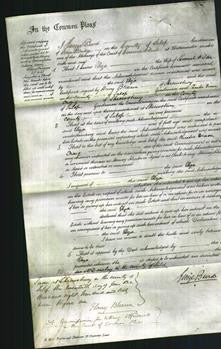 Court of Common Pleas - Eliza Wilson-Original Ancestry