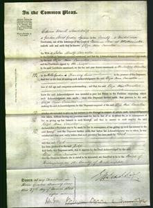 Court of Common Pleas - Eliza Ann Cancellor-Original Ancestry