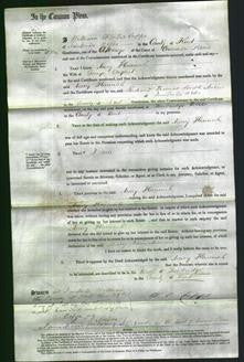 Court of Common Pleas - Mary Hannah Argent-Original Ancestry