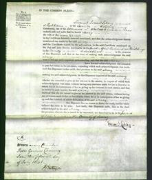 Court of Common Pleas - Mary Upsdell-Original Ancestry