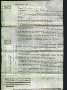 Court of Common Pleas - Mary Tomlinson, Frances Edensor and Sarah Walker-Original Ancestry