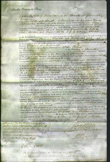 Court of Common Pleas - Elizabeth Bevan and Susannah Harris-Original Ancestry