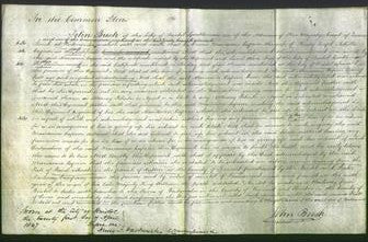 Court of Common Pleas - Marianne Capron-Original Ancestry