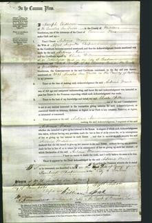 Court of Common Pleas - Antonia Maria Chapman-Original Ancestry