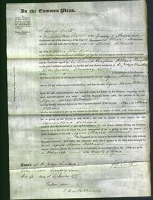 Court of Common Pleas - Agnes Maria Williams-Original Ancestry