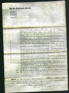 Court of Common Pleas - Mary Ann Philp-Original Ancestry