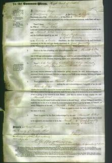 Court of Common Pleas - Harriett Ellis-Original Ancestry