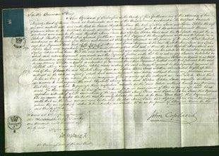 Court of Common Pleas - Elizabeth Mary Jones and Sophia Letitia Jones-Original Ancestry