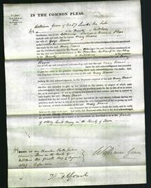 Court of Common Pleas - Mary Beavis-Original Ancestry