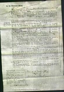 Court of Common Pleas - Martha King-Original Ancestry