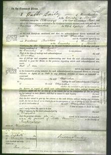 Court of Common Pleas - Martha Harman-Original Ancestry