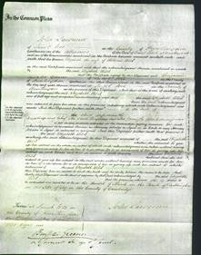 Court of Common Pleas - Elizabeth Wild-Original Ancestry