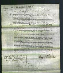 Court of Common Pleas - Eliza Stennett – Original Ancestry