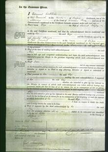 Court of Common Pleas - Eliza Bayley-Original Ancestry