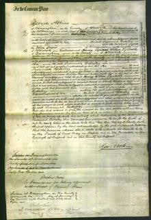 Court of Common Pleas - Susannah Bettelley-Original Ancestry