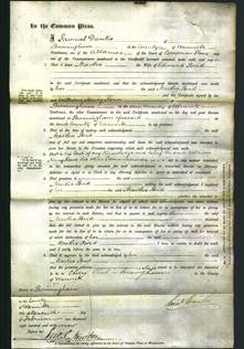 Court of Common Pleas - Martha Bird-Original Ancestry