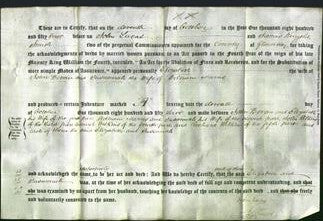 Deed by Married Women - Elizabeth Bevan and Susannah Harris-Original Ancestry