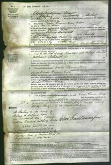 Court of Common Pleas - Cecilia Frances Mary Clerk-Original Ancestry