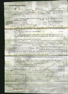 Court of Common Pleas - Mary Brown-Original Ancestry