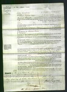 Court of Common Pleas - Ann Chard-Original Ancestry