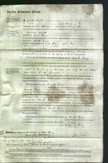 Court of Common Pleas - Harriett Young-Original Ancestry