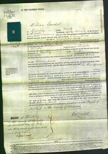 Court of Common Pleas - Rebecca Jarvis-Original Ancestry