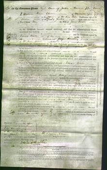 Court of Common Pleas - Mary Beattie-Original Ancestry