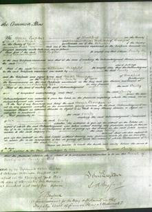 Court of Common Pleas - Emily Sheffield