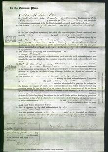 Court of Common Pleas - Mary Frewick-Original Ancestry