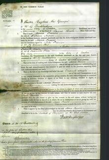 Court of Common Pleas - Maria Frances Napier-Original Ancestry