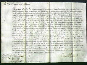 Court of Common Pleas - Mary Ann Wright-Original Ancestry