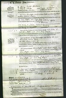 Court of Common Pleas - Eliza Boffin and Julia King Baylis-Original Ancestry