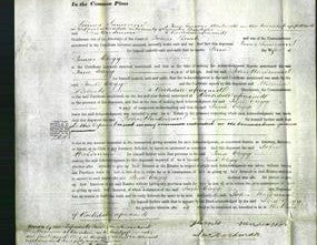Court of Common Pleas - Jane Clegg-Original Ancestry