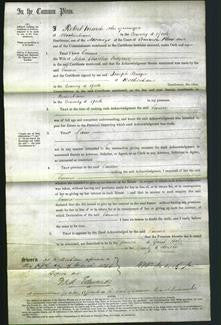 Court of Common Pleas - Emma Redgrave-Original Ancestry