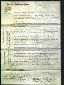 Court of Common Pleas - Lucy Tyars Horan-Original Ancestry