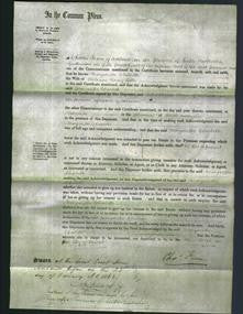 Court of Common Pleas - Margaretta Charlotte Little-Original Ancestry