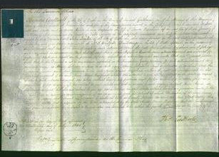 Court of Common Pleas - Anna Maria Wapshare-Original Ancestry