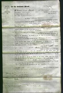 Court of Common Pleas - Esther Sephton-Original Ancestry