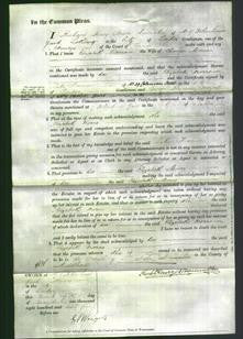 Court of Common Pleas - Elizabeth Morrs-Original Ancestry