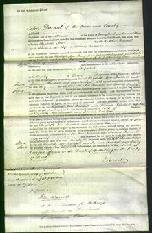 Court of Common Pleas - Elizabeth Ann Randall and Jemima Randall-Original Ancestry