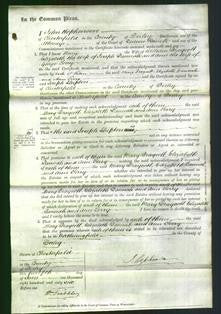 Court of Common Pleas - Mary Draycott and Elizabeth Dannah-Original Ancestry