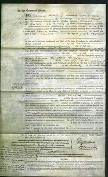 Court of Common Pleas - Elizabeth Shepherd-Original Ancestry