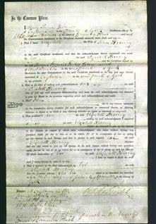 Court of Common Pleas - Elizabeth Herring-Original Ancestry