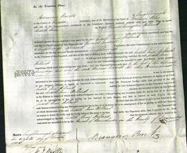 Court of Common Pleas - Judith Ann Holland-Original Ancestry