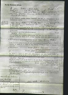 Court of Common Pleas - Sophia Frances Shuldham-Original Ancestry