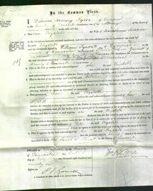 Court of Common Pleas - Elizabeth Bradshaw-Original Ancestry