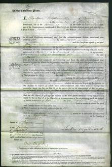 Court of Common Pleas - Maria Beck-Original Ancestry